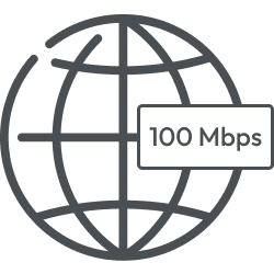 Small Business 100 Mbps Internet