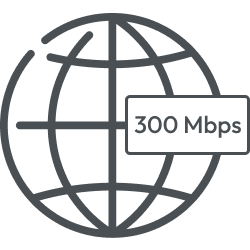 Small Business 300 Mbps Internet