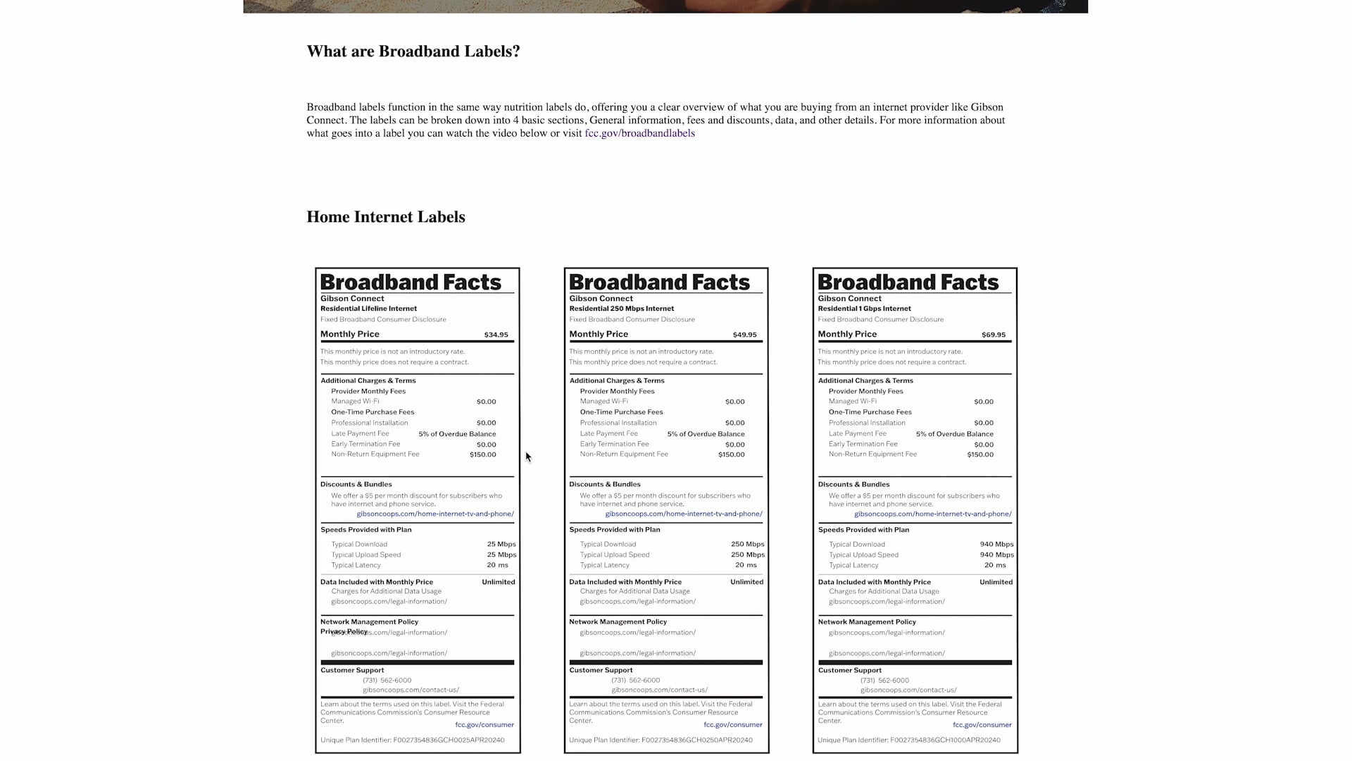 Understanding Broadband Facts Labels Thumbnail