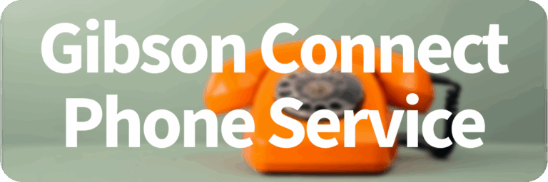 Phone Landing page Hero