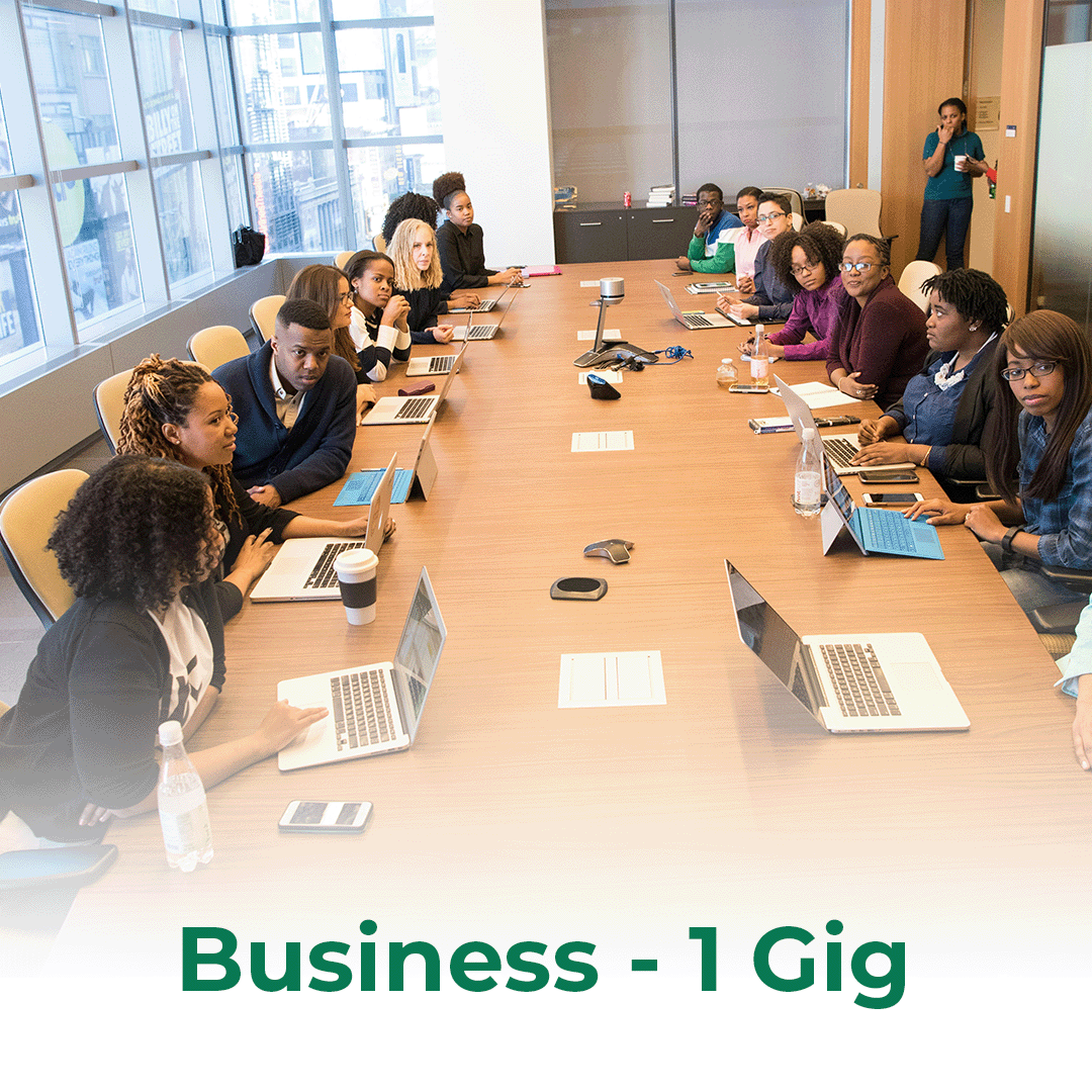 Small Biz Gig Small Biz Gig