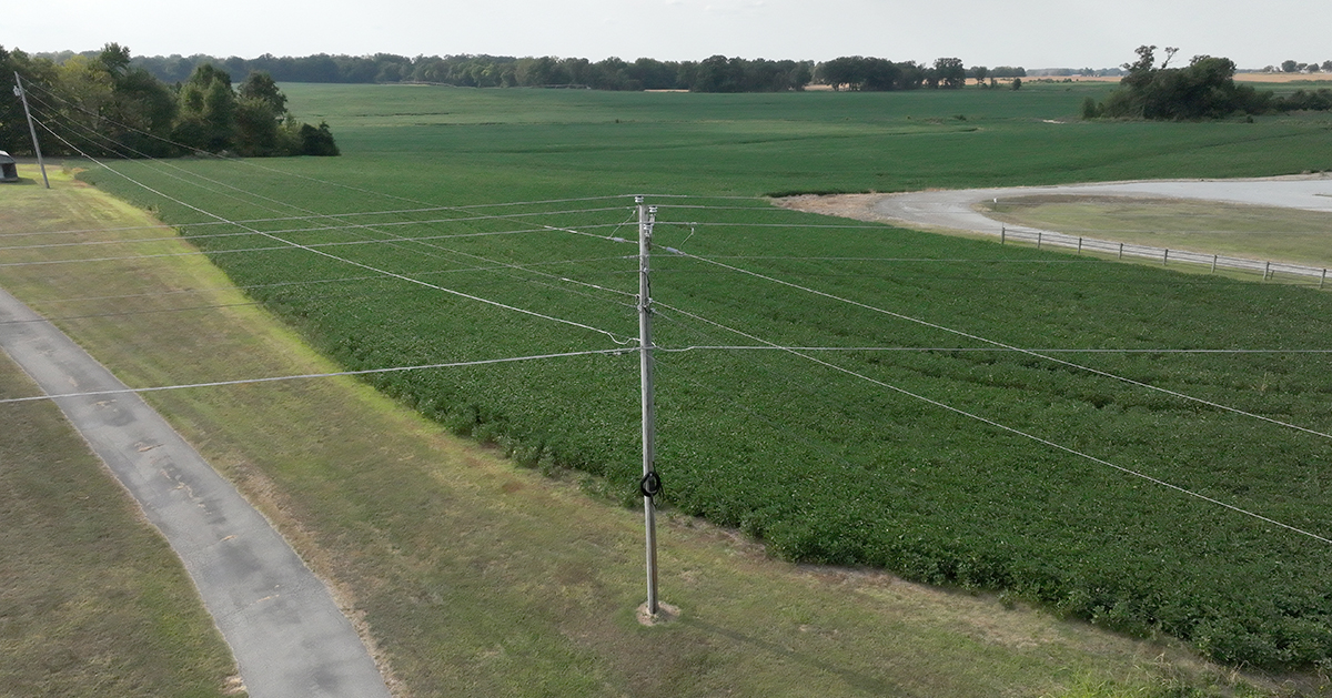 A utility pole stands in a rural landscape with green fields, a narrow paved road, and power lines stretching into the distance.